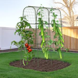 HIRALIY Cucumber Trellis for Climbing Plants Outdoor, 5 ft Tall Metal Garden Trellis, Arch Tunnel for Tomato Grape Vine Vegetables, Plant Support Archway for Garden Raised Bed, Green
