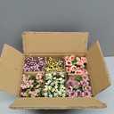 LUEUR 6Pcs Artificial Flowers with Ceramic Pot Fake Flower Arrangements Small Faux Spring Flowers in Vase Home Spring Decor, Centerpiece Table Decorations for Farmhouse Office Shelf Dining Table