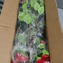 Artificial Camellia Tree 3.3 FT 2 Pack, Christmas Decor Fake Camellia Plant with Blooming Flowers&Natural Wood Trunk, Greenery Faux Potted Plant for Home Office Winter Indoor (Red, 3.3FT)