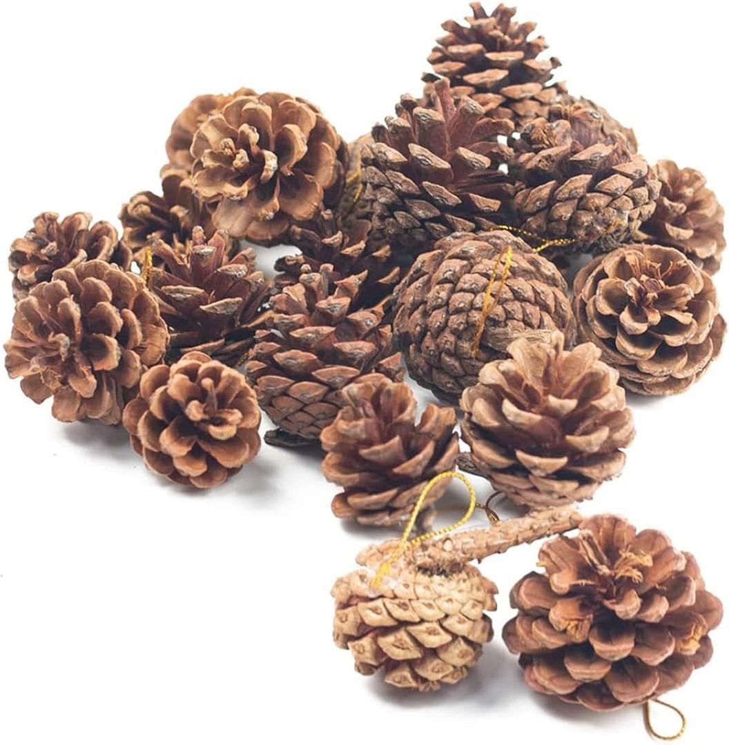 JOHOUSE 18PCS Hanging Natural Pine Cones (1.5"–2.5"), Rustic Pinecones with Strings for Garland, Christmas Tree Ornaments, Wreath Making, Vase/ Bowl Filler Decor