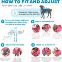 Outward Hound Granby Splash Pink Dog Life Jacket, XL