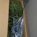 National Tree Company 6.5 ft Unlit Dunhill Fir Full Artificial Christmas Tree, 1,838 Tips, Includes Stand, Green