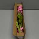 ATFL Hot Pink Poppy Flowers Artificial for Wedding Decorations,12 Pcs Fake Faux Silk Poppies Bulk for Home Decor Table Centerpieces Floral Arrangement (23.5, Hot Pink) (Roses)