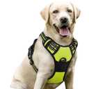 rabbitgoo Dog Harness No Pull with 2 Leash Clips, Adjustable Soft Padded, Reflective Oxford No Choke Pet Vest with Easy Control Handle for Large Dogs, Green, L