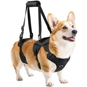 NOYAL Dog Lift Harness for Senior & Injured Pets – Full-Body Support Sling with Breathable Mesh, Front/Rear Leg Assist for Arthritis, Hip Dysplasia & Post-Surgery Recovery (Medium-Large Breeds)