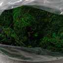 FAICOIA Moss Table Runner Dried Moss for Crafts Green Moss Roll for Fairy Gardens Wedding Woodland Decor 12" x 60" Preserved Moss Mat for Table Decoration Moss Carpet for Moss Grass Wall 30x153cm