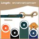 Long Leash Waterproof Dog Training Leash, Outdoor Longline Dog Leash for Training, Yard, Play, Beach, Camping