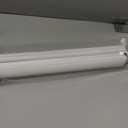 Blackout Roller Shades Blinds Cordless for Windows Pull Down Room Darkening Door Blinds with Thermal Insulated Easy to Install for Living Room,Bedroom,Home,Office Bathroom White 34" W x 72" H