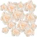 Cholemy 24 Pcs Tissue Paper Flowers, Crepe Paper Flowers Decorations 8" 10" 12" for Wedding Party Baby Bridal Shower Carnival Party Birthday Nursery Wall Decor (Beige)