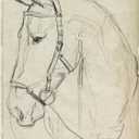 ART.COM Wall Art Print Horse in Bridle Sketch II by Jennifer Parker, 18" x 24"