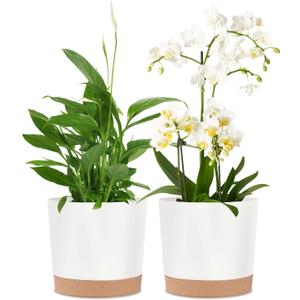 kubvici 2 Pack 8 Inch Planters for Indoor Plants, Plastic Flower Pots Plant Pots Indoor with Drainage Saucer for Outdoor Garden Home Plant, White 8