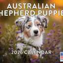 Australian Shepherd Puppy Calendar 2026 Monthly Wall Calender 12 Month | American Made In The USA