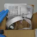 Brazilian Wood Plant,Mini Brazil Lucky Wood,Ceramic Tray Lucky Tree,with Panda Statues,Swelling The Stage of About to Sprout,Brazilian Tree Perfect for Home,Office Desktop Decoration (Panda Statue)