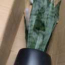 KOL 3FT Artificial Snake Plant, Fake Sansevieria Indoor Outdoor, 28 Thick PE Leaves Lifelike Faux Silk Plants, Home Decor Mother in Law Tongue 35in, Greenery for Office Decoration, Green