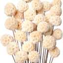 30 PCs Billy Ball Craspedia Bouquet: Natural Dried Flowers for Vase, Boho Decor & DIY Parties - White