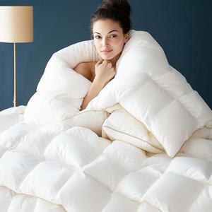 WhatsBedding Puffy Feather Comforter Queen Size, All Season Duvet Insert Feather Downfiber Filled, 100% Cotton Luxury Hotel Collection, 4 Corner Loops, Gold Piping (White Coffee Piping)