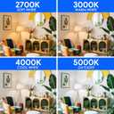 E ENERGETIC LIGHTING 40W Equivalent A19 LED Light Bulb, Warm White 3000K, E26 Standard Base, ETL Listed, 5W 450lm Non-Dimmable LED Light Bulb, 8 Packs