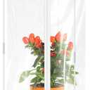 Nuanchu 1 Piece Mini Greenhouse 19.7 x 10.2 Inch Portable Plant Flowers Mini Cover PVC Clear Greenhouse for Indoor Outdoor Gardening