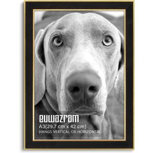 Suede A3 Frame - Single Frame, Elegant Black 11.69x16.54 inch Picture Frame, A3 Poster Frame for Artwork, Puzzles, Photos, Movie Posters, and Wall Display