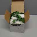 Felice Arts 2 Pack Cream Artificial Rose Vine Each 6.5FT Fake Rose Garland Hanging Flower Garland for Wedding Arch Table Arrangement Garden Swing Teepee Decor