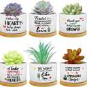 6 Pcs Teacher Appreciation Gifts Good Teacher Ever Gift Funny Cute Succulent Plant Pot with Bamboo Tray Ceramic Planter Accessories for Women Graduation Birthday (Bright Style)