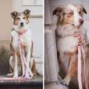 Soft Leather Dog Collar and Leash (6.6') Set - Stylish Rose Gold Heavy Duty Metal Buckle, 4 Adjustable Lengths Leash for Small Medium Large Dogs - Comfortable & Easy to Clean Pink XS(8"-12")