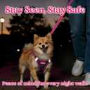 rabbitgoo Dog Harness Small Sized and Leash Set, Step-in Breathable Pet Harness, Soft Walking Reflective Puppy Vest for Small Dogs, Black & Rose Red, XXS