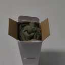 EMEMA Linen Fringe Throw Pillow Covers Set of 2 Boho Farmhouse Accent Decorative Pillowcase with Tassels for Couch Sofa Bed Living Room Home Decor 26x26 Inch,Sage Green