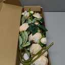 IPOPU Champagne Artificial Peonies 8Pcs Silk Peonies with Stems Real Look Fake Peonies Artificial Flowers for Wedding Centerpieces Bridal/Baby Shower Party Decorations (Champagne)