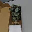 Muhanjia Artificial Eucalyptus Stems in Glass Vase with Faux Water,3Pcs Fake Plant with Double-Sided Green Leaves for Centerpiece(Double-Sided Green Eucalyptus)