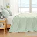 Cozy Bliss Cooling Comforter King Size, Cooling Blankets for Hot Sleepers and Night Sweats, Light Mint Green Cream Summer Comforter for King Size Bed, Breathable Soft Lightweight Silk Smooth
