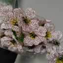 Ouddy Decor 24 Bundles Artificial Flowers for Outdoors Fake Silk Flowers UV Resistant Faux Plastic Plants for Spring Summer Garden Porch Window Box Table Vase Home Indoor Outdoor Decoration, White