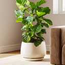 LE TAUCI 12 Inch Pots for Plants, Ceramic Planter with Drainage Hole & Saucer, Thick-Walled Ceramic, Planters for Indoor Plants, Ideal for Living Room & Entryway, Reactive Glaze Beige