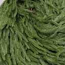 Alupssuc 9ft Christmas Garland, Real Touch Norfolk Pine Garland - Pine Garland, Artificial Greenery Christmas Garland for Mantle, Table, Fireplace, Indoor, Outdoor Christmas Decorations