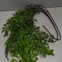 Melorca&Guilla Artificial Plants, 2PCS 43" Green Faux Branches for Vase, Artificial Plants for Shop Garden Office Home Décor