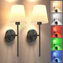 Battery Operated Wall Sconce Set of 2Silver Wireless Wall Sconce with 5200mAh Dimmable Detachable Bulbs and Remote, 10 Colors Rechargeable Sconces Decor for Bedroom Living Room Hallway (19.9 inch, Black)