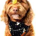 Realeaf Graduation Dog Bandanas 2 Pack, Reversible Pet Scarf for Boy and Girl, Premium Durable Fabric, Holiday Bandana for Small Medium Large and XLarge Dogs (Graduation, X-Large)