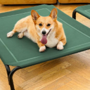 Simple Trending Raised Dog Bed for Large Dogs, Waterproof XL Dog Cot, Outdoor Cooling Elevated Pet Bed Load 200lb, 47.75" x 30.5", Green
