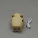 UNEEDE Cute Capybara Night Light, Novelty Animal Silicone Nursery Night Light Rechargeable Table Bedside Lamp with Touch Sensor for Bedroom Living Room Squishy Capybara Stuff Boys Girls Gifts