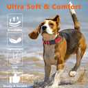 Reflective Durable Nylon Dog Collar, Adjustable Quick Release Buckle Pet Collars for Extra Small