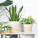 8 Inch + 6 Inch Indoor Plant Pot with Drainage Holes and Saucers, Ceramic Planter for Plants, Succulent Orchid Flower Pots