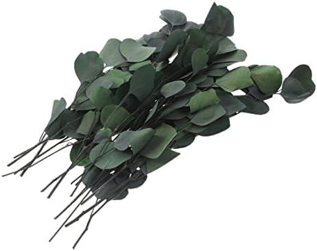 LIFKICH Real Eucalyptus Leaves Decor Faux Greenery Eucalyptus Stems Dried Leaves for Home Flower Arrangement
