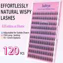 4 x Individual False Eyelashes, 10 Pairs Natural Black Lash Clusters, Soft Wispy Individual Lashes for DIY Eyelash Extension, Faux Mink False Eyelash for Natural Look at Home (10-12mm, S09)