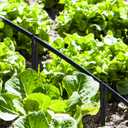 BOXOB 100pcs Drip Irrigation Support Stakes, Ideal for 1/4 Inch Tubing Drip Hold System Parts Supplies for Vegetable Flower Beds Lawn Indoor Outdoor Use