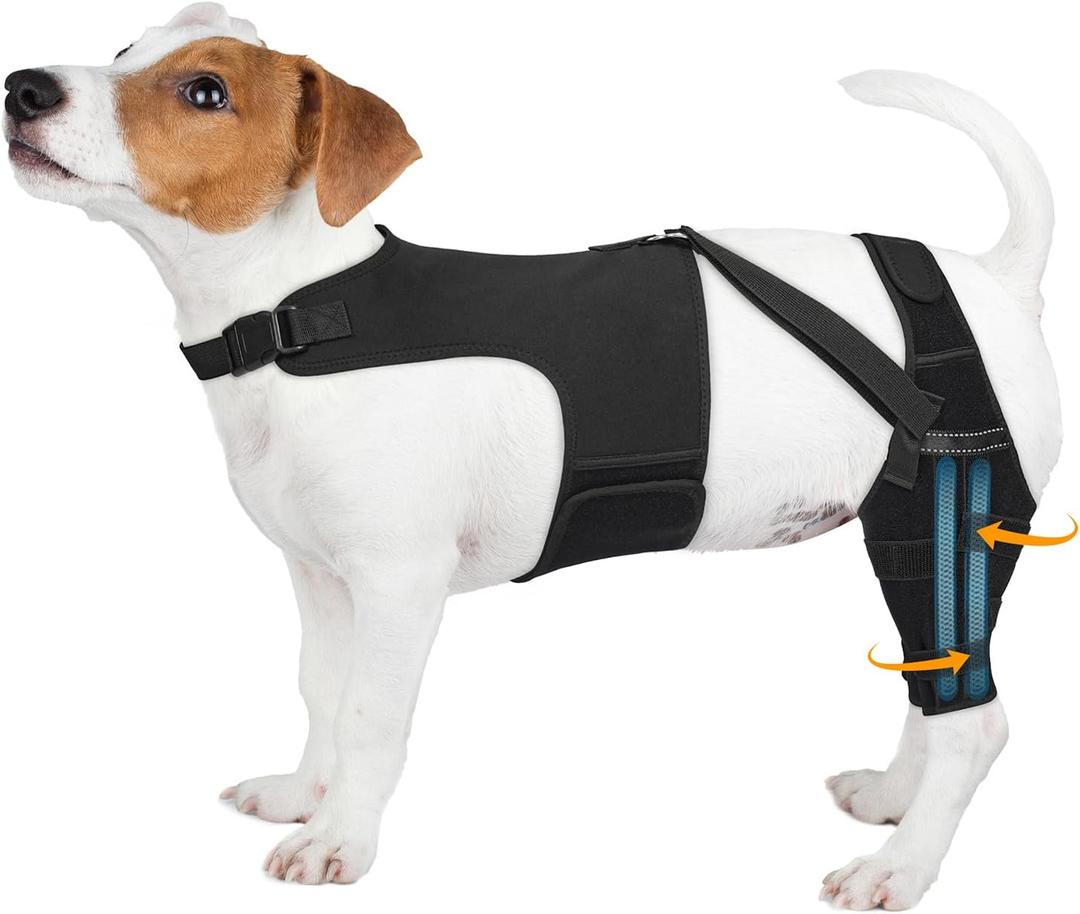 Dog Knee Brace for Torn Acl Hind Leg, Adjustable for Back Leg with 10 Stabilizers, Reduces Pain, Ligament Injuries & Luxating Patella for Small Medium Large Dogs (Black)