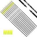 30Inch Carbon Arrow Practice Hunting Arrows with Removable Tips for Compound & Recurve Bow(Pack of 12) (Yellow White)