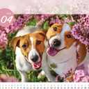 2 x 2026 Desk Calendar & Monthly Planner, Dog Family, Various Dog Breeds and Cute Puppies, Standing Flip, Spiral Binding, Stand-Up Tent,14 Sheets, 8"x 7.9"