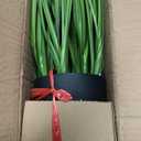 2 Pack 34" Artificial Greenery Floor Plants with Reed Flowers, Tall Fake Plant Potted, Faux Pampas Grass Silk Plants for House Decorations, Lobby, Bathroom, Wedding, Garden Indoor Outdoor