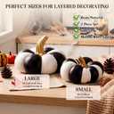 RattanView 2 Pack Halloween Resin Pumpkin Decor Set, Black and White
