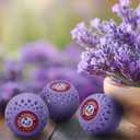 Arm & Hammer Odor Busterz Lavender Deodorizing Balls - Air Freshener and Odor Eliminator - Long-Lasting Freshness for Home, Bathroom, Closet, Gym Bags, Sports Gear and More - 3-Count, Lavender Scent